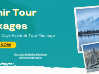 Explore Kashmir: Exclusive Tour Packages by Wanderon