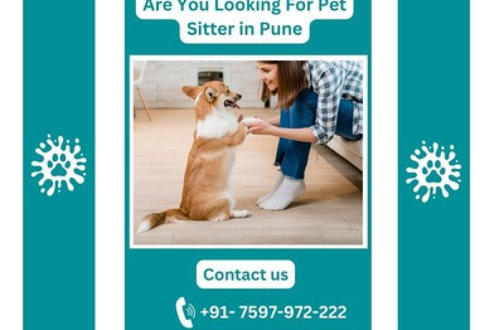 are-you-looking-for-pet-sitter-in-pune-big-0