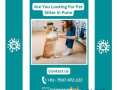 are-you-looking-for-pet-sitter-in-pune-small-0