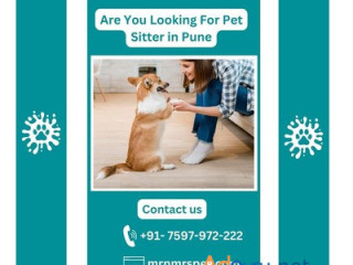 Are you Looking For Pet Sitter in Pune