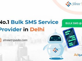 No.1 Bulk SMS Service Provider in Delhi