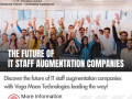 the-future-of-it-staff-augmentation-companies-vega-moon-technologies-leading-the-way-small-0