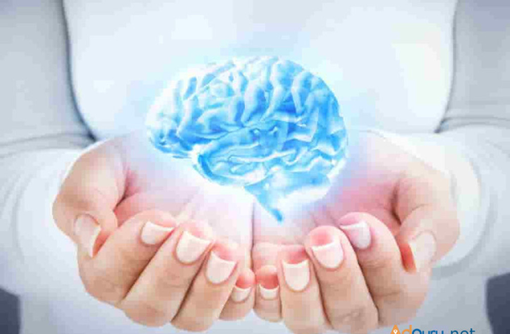 nutrition-for-optimal-brain-function-by-biovatic-lifescience-big-0