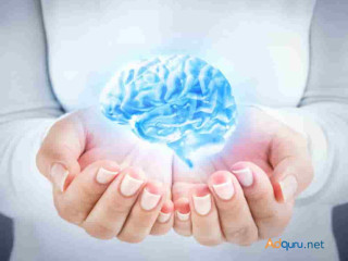 Nutrition for Optimal Brain Function by Biovatic Lifescience