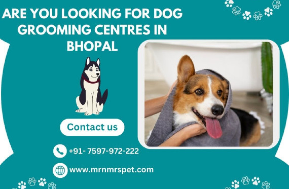 best-dog-grooming-centres-in-bhopal-big-0