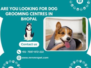 Best Dog Grooming Centres in Bhopal