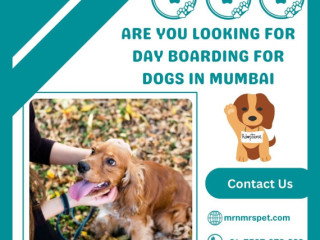 Professional Day Boarding For Dogs in Mumbai