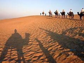 Royal Odyssey: Rajasthan Tour Packages Unveiled