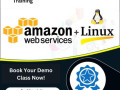 comprehensive-aws-training-in-indore-lts-indore-small-0