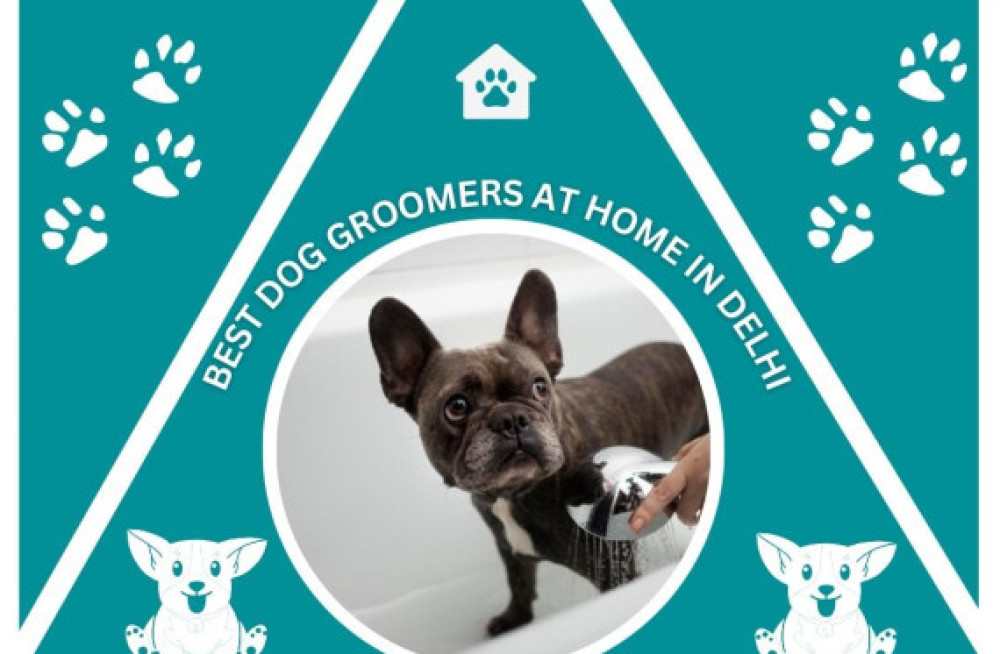 best-dog-groomers-at-home-in-delhi-big-0