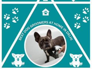 Best Dog Groomers at Home in Delhi