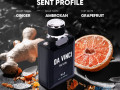 da-vinci-black-the-top-perfume-for-men-by-faz-fragrance-small-3