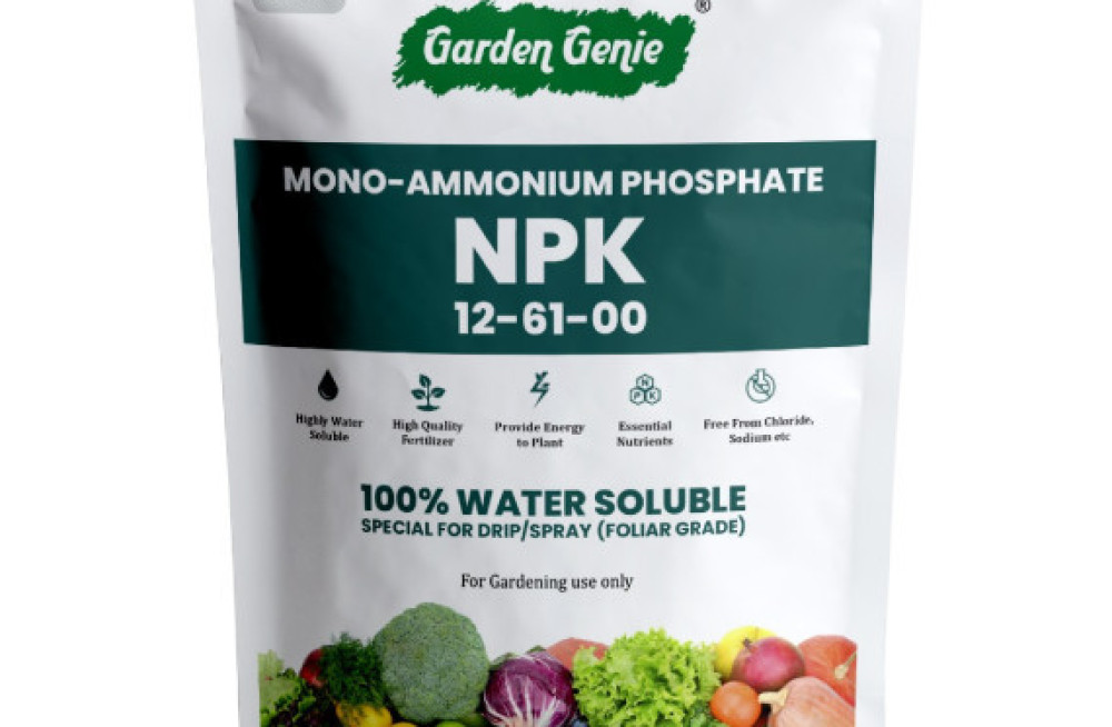 organic-npk-19-19-19-big-0