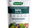 organic-npk-19-19-19-small-0