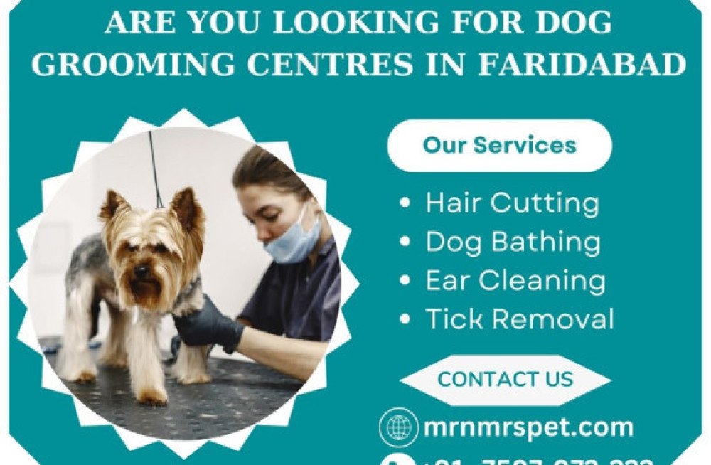 best-dog-grooming-centres-in-faridabad-big-0