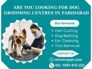 Best Dog Grooming Centres in Faridabad