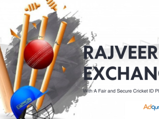 Bet Smarter, Win Bigger: The Unique Features of Rajveerexch for Cricket Fans