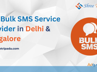 Top Bulk SMS Service Provider in Delhi & Bangalore