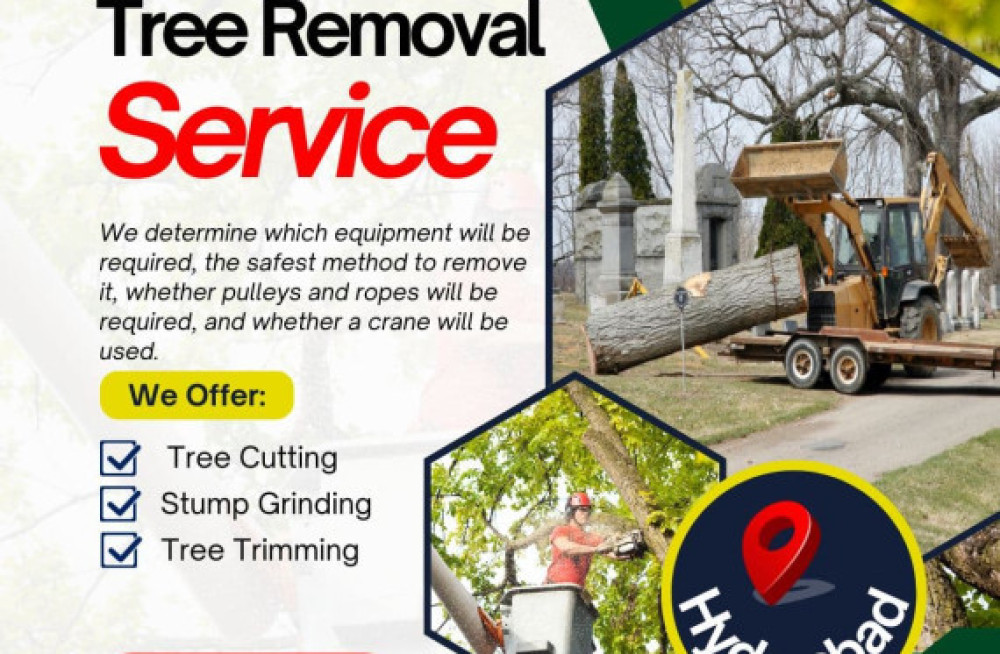 tree-removal-services-in-hyderabad-nhn-tree-cutting-services-big-0