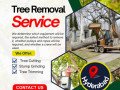 tree-removal-services-in-hyderabad-nhn-tree-cutting-services-small-0