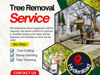 Tree Removal Services in Hyderabad - NHN Tree Cutting Services