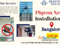 secure-your-balcony-with-the-best-pigeon-safety-nets-in-bangalore-small-0