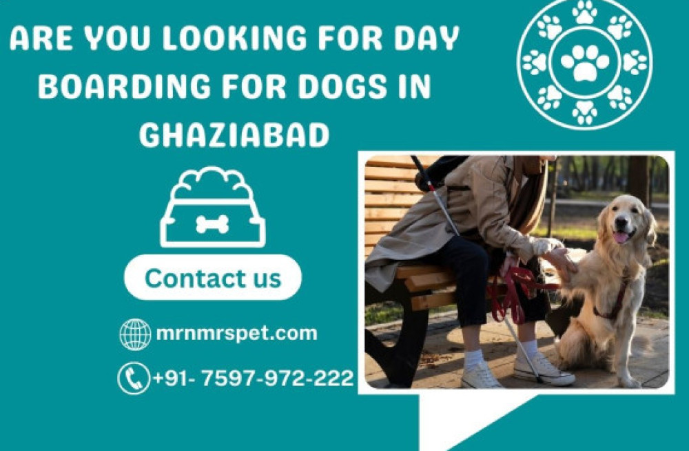 best-day-boarding-for-dogs-in-ghaziabad-big-0