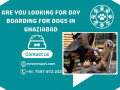 best-day-boarding-for-dogs-in-ghaziabad-small-0