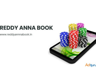 Dive Into Adventure: Reddy Anna Book