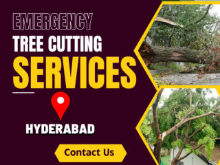 Tree Cutting Services in Hyderabad - NHN Trees Cutting