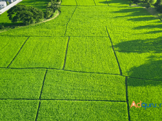 Godrej Plots in Jigani Hobli, Bangalore