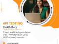 api-testing-training-in-hyderabad-small-0