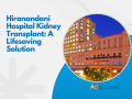 hiranandani-hospital-kidney-transplant-a-lifesaving-solution-small-0