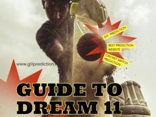 A Beginner's Guide to Dream 11 Predictions: Tips and Tricks