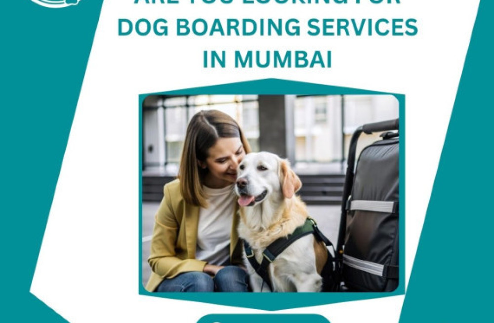 best-dog-boarding-services-in-mumbai-big-0