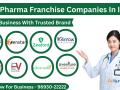 top-pharma-franchise-company-small-0