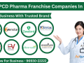 top-pcd-pharma-franchise-company-small-0