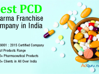 What Is PCD Pharma Franchise And What Are Its Scope