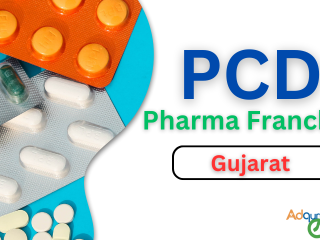 Pharma Franchise Company in Gujarat