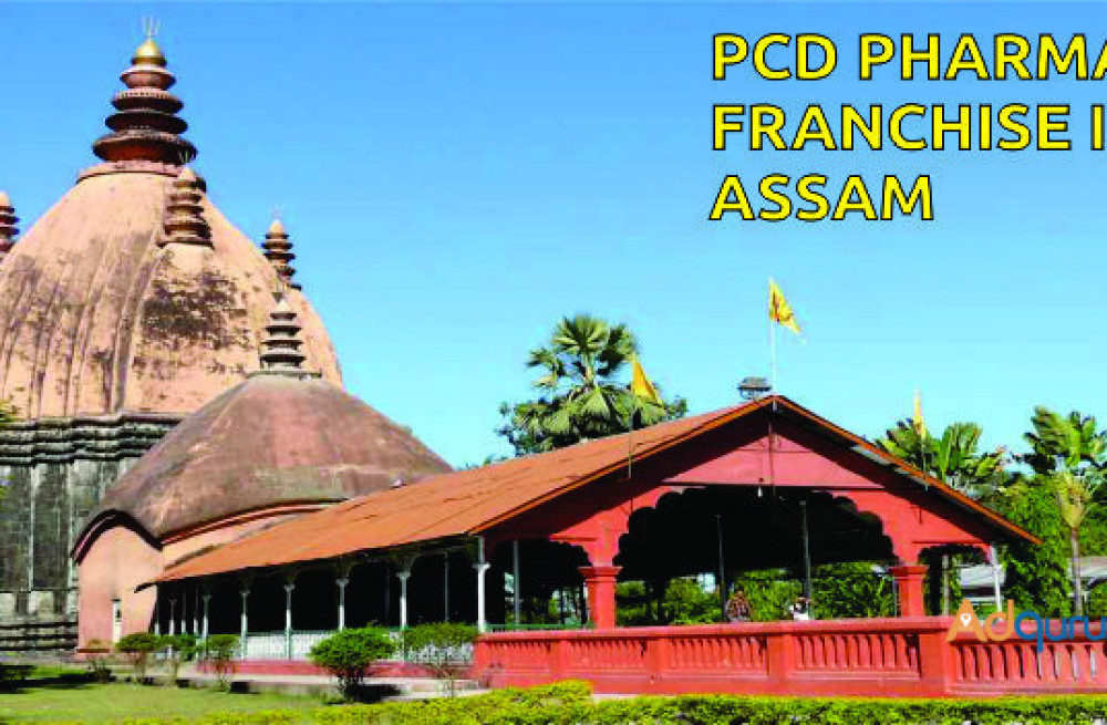 pcd-pharma-franchise-in-assam-big-0