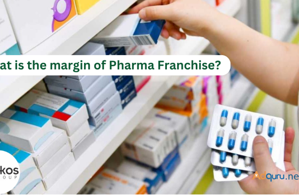 what-is-the-margin-of-pharma-franchise-big-0