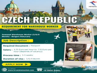 Czech Republic Requirement For Warehouse Worker