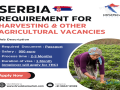 serbia-requirement-for-harvesting-other-agricultural-vacancies-small-0