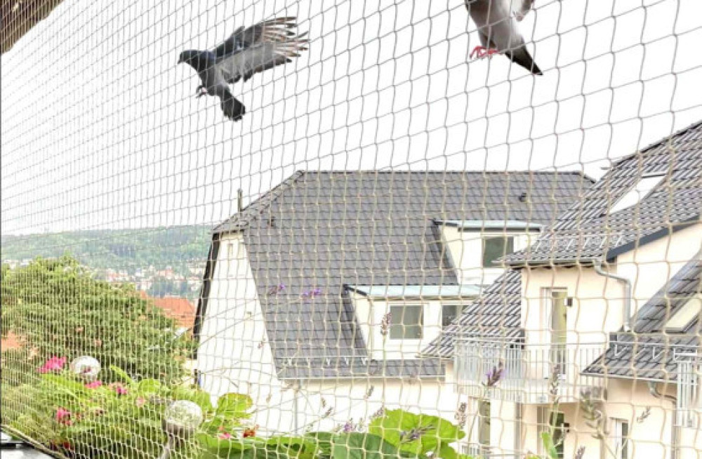 discover-the-best-pigeon-nets-for-balconies-in-hyderabad-with-philips-enterprises-big-0