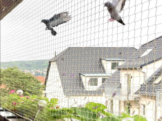 Discover the Best Pigeon Nets for Balconies in Hyderabad with Philips Enterprises