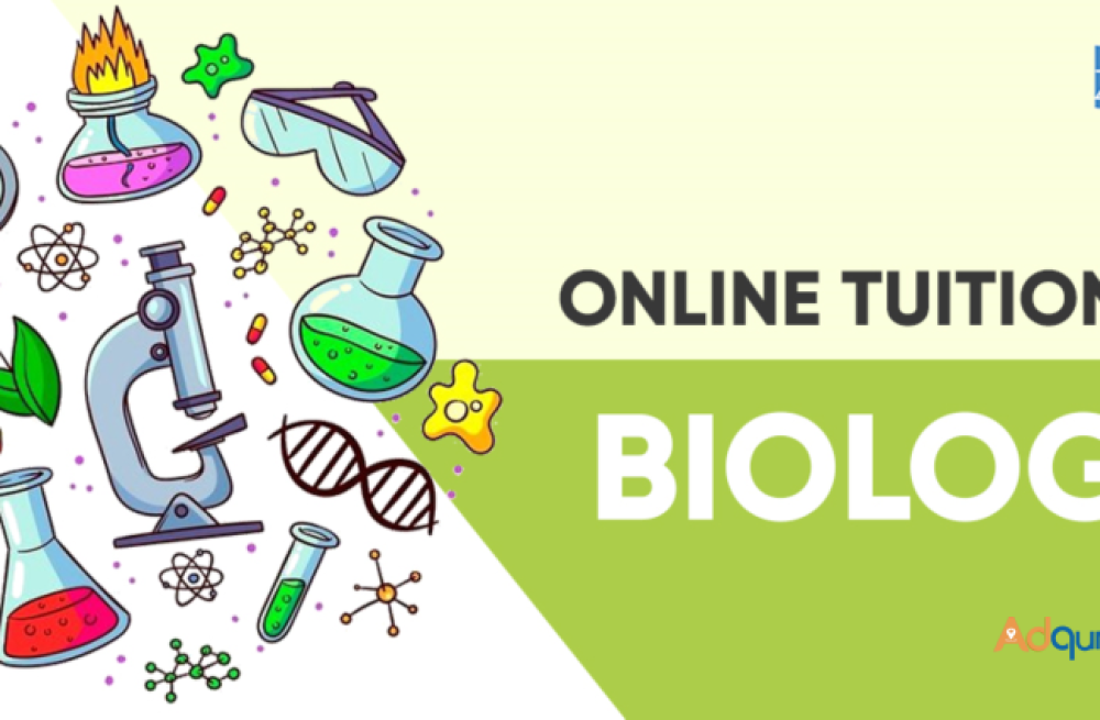 ever-wondered-if-cells-can-throw-a-digital-party-welcome-to-ziyyaras-online-biology-bash-big-0