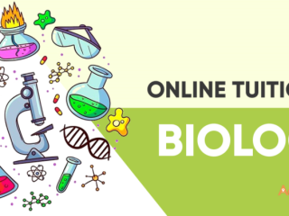 Ever Wondered if Cells Can Throw a Digital Party? Welcome to Ziyyara’s Online Biology Bash