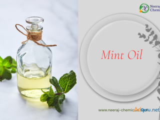 Mint Oil Suppliers in India