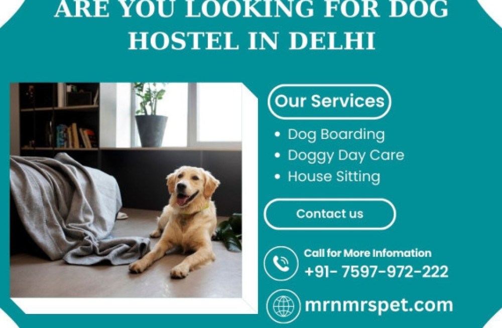 best-dog-hostel-in-delhi-big-0