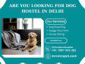 best-dog-hostel-in-delhi-small-0